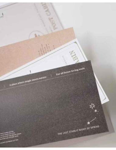 Everyday Curiosities Memo Pad | wwiinngg