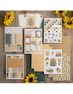 Kit Club Septiembre 25 Sunflower Field | Archer & Olive