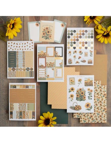 Sunflower Field September 25 Kit Club | Archer & Olive