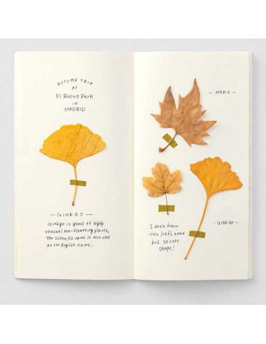 TN Regular 025 Refill MD Paper Cream Notebook | Traveler's Company