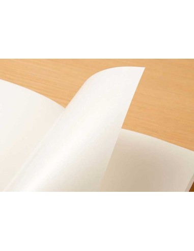 Libreta Para Pegatinas TN Regular 031 | Traveler's Company
