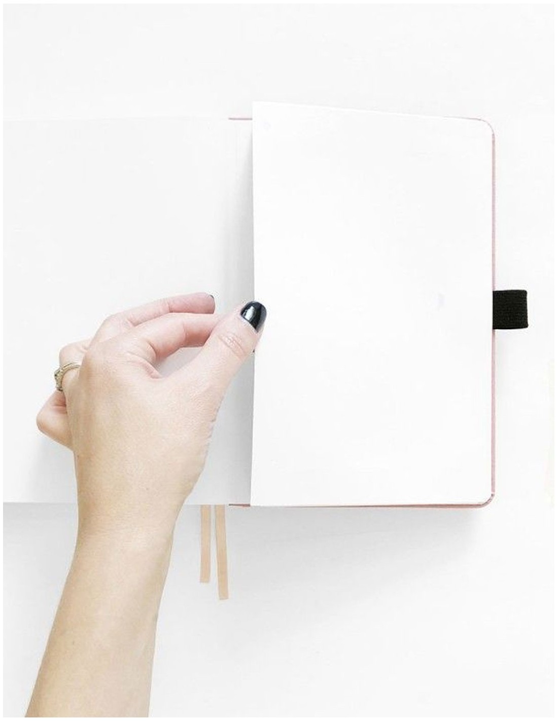Eucalyptus B5 [Dot Grid] Notebook [Limited Edition] | Archer & Olive