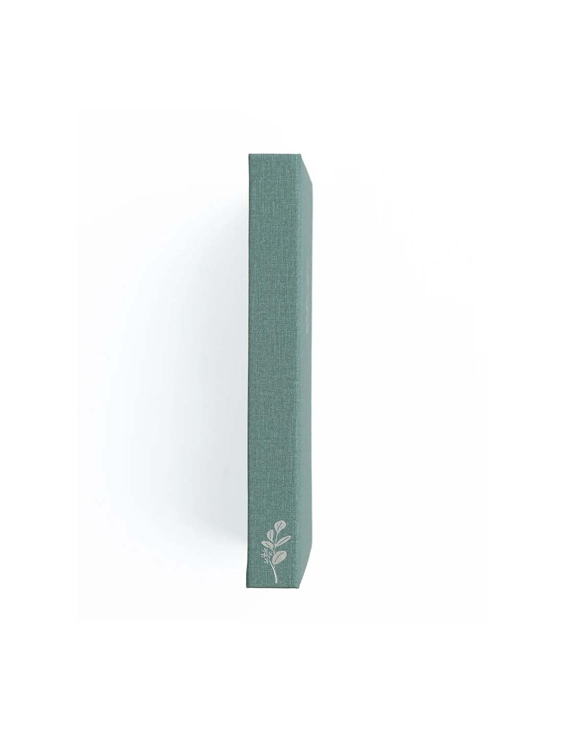 Eucalyptus B5 [Dot Grid] Notebook [Limited Edition] | Archer & Olive