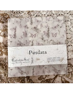 Pack de 2 papeles de Vellum Posdata | My Lovely Journal