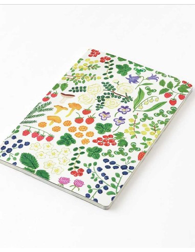 Libreta B6 Scandinavia [Yuru Log] | Midori
