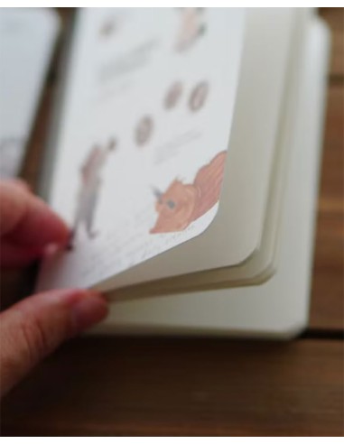 A Story of the Desk Passport Notebook | Ivy Snow