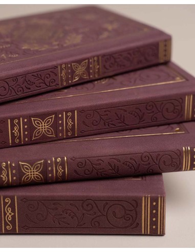Storybook in Plum B6 [Dot Grid] Notebook | Archer & Olive