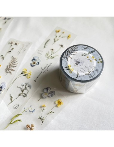 Embossed Manuscript Masking Tape | Pion