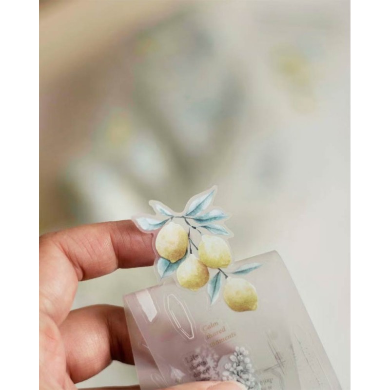 Bucle Journey in Golden Light PET [Matte] [Pre-cortado] | Loi Design