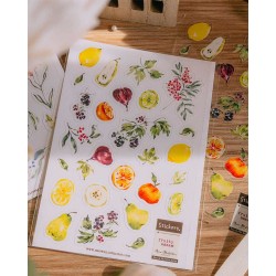 Pegatinas PET Fruity Dream | Meow Illustration