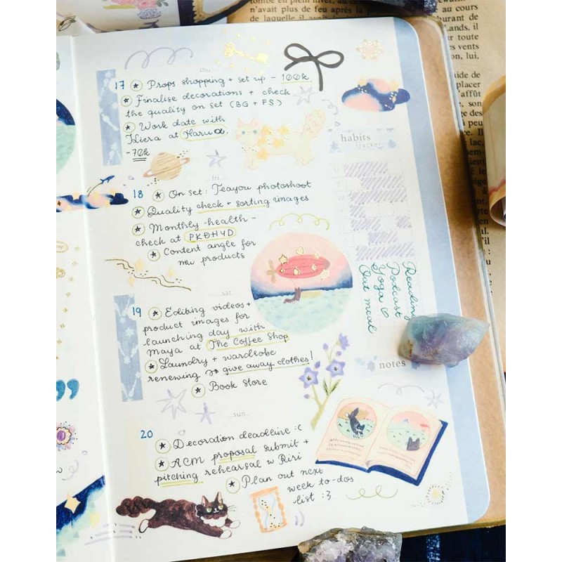 Bucle Vellum tape Cat and Stars [Pre-cortado] | Teayou