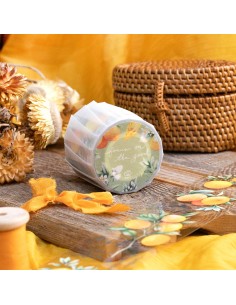 Focus on the Good Masking Tape PET (Brillo) | Loi Design