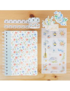 Kit Colección Verano y Mar | Bunbōgu