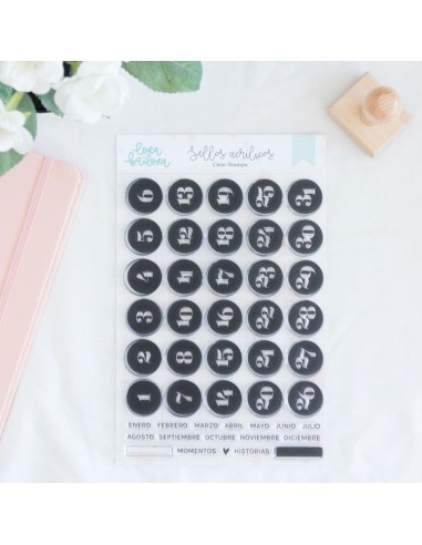 Documenta [ES] Acrylic Stamps | Lora Bailora