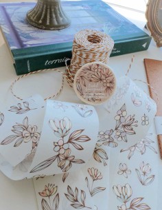 Bucle Washi tape Pastel Imaginator | Meow Illustration