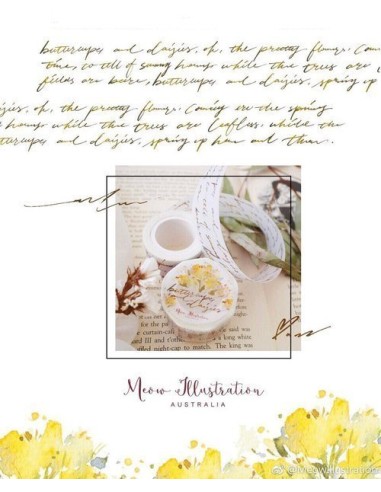 Washi tape Buttercups and Daisies | Meow Illustration