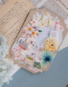 Bucle My Passport feat. Magger Masking Tape PET (Mate) | Loi Design