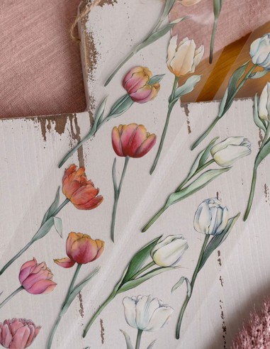 Bucle Warm color tulips Masking Tape PET (Brillo) | Loi Design