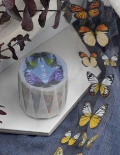 Bucle Vintage Butterfly Masking Tape PET (Brillo) | Loi Design