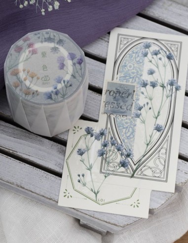 Loop Clear Glossy Masking Tape PET Gypsophila | Loi Design