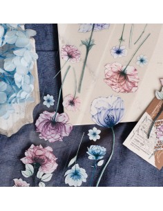 Bucle Touming Masking Tape PET (Brillo) | Loi Design