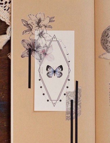 Notas Astrology 2 Orbit | Loi Design
