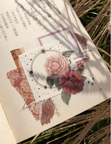 Notes Astrology Universe & Galaxy | Loi Design