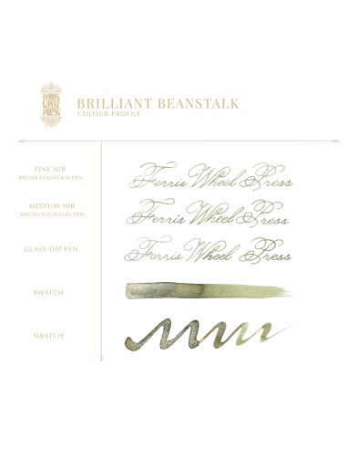 FerriTales | Once Upon a Time - Brilliant Beanstalk | Ferris Wheel Press