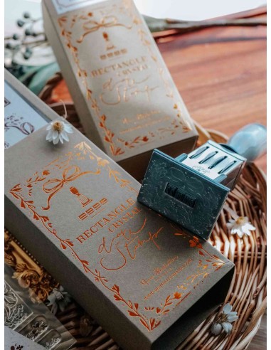 Daily Express Rectangle Crystal Date Stamp Set | Meow Illustration