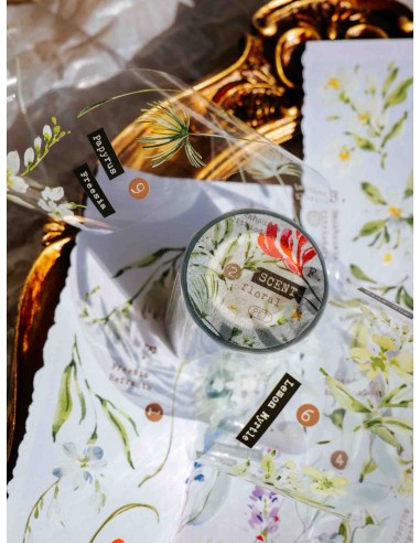 PET tape Scent.floral (Brillo) | Meow Illustration