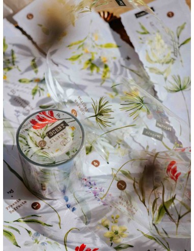 PET tape Scent.floral (Brillo) | Meow Illustration