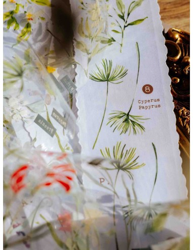Scent.floral Glossy PET Tape | Meow Illustration