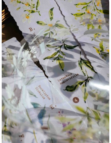 PET tape Scent.floral (Brillo) | Meow Illustration