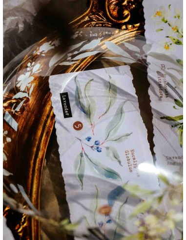 Scent.floral Glossy PET Tape | Meow Illustration