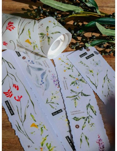 Scent.floral Washi-tape | Meow Illustration