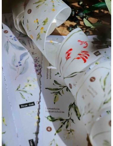 Scent.floral Washi-tape | Meow Illustration