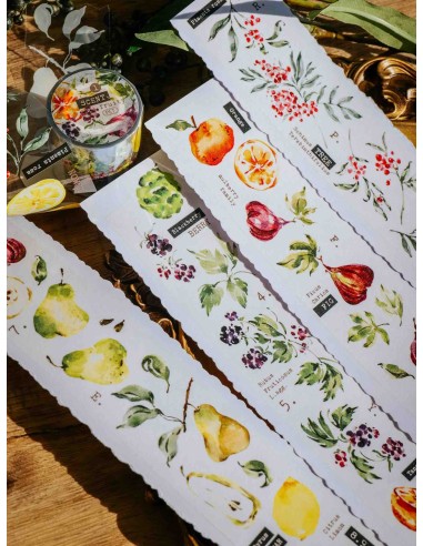 Loop Scent.fruity Glossy PET Tape | Meow Illustration