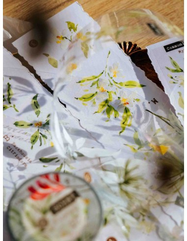 Loop Scent.floral Glossy PET Tape | Meow Illustration