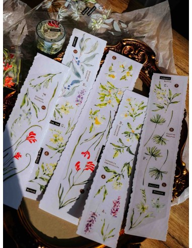 Loop Scent.floral Glossy PET Tape | Meow Illustration