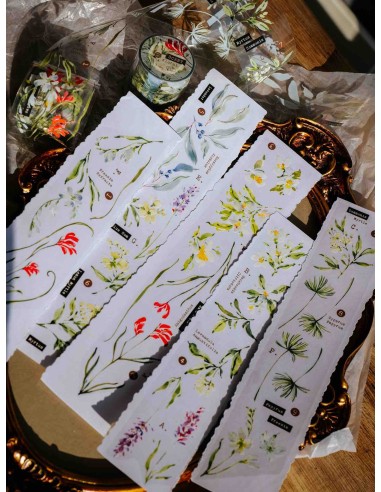 Loop Scent.floral Glossy PET Tape | Meow Illustration