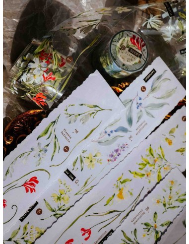 Loop Scent.floral Glossy PET Tape | Meow Illustration