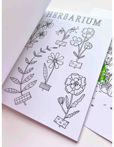 Libro para Colorear | Nikki Dotti