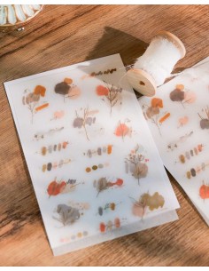 Pegatinas Transferibles Rosewood | Meow Illustration