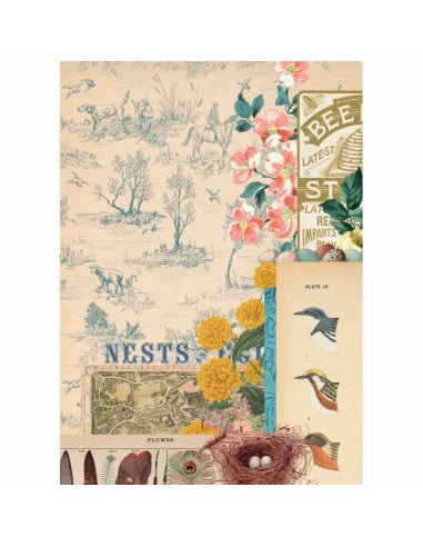 Découpage Paper A4-Collector Diary Col. I | Vintage Odyssey