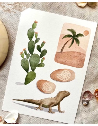 Desert Postcard | Nikki Dotti