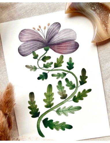Purple Flower Postcard | Nikki Dotti
