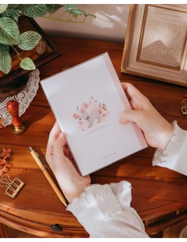 Libreta B6 Whisper Pink | wwiinngg