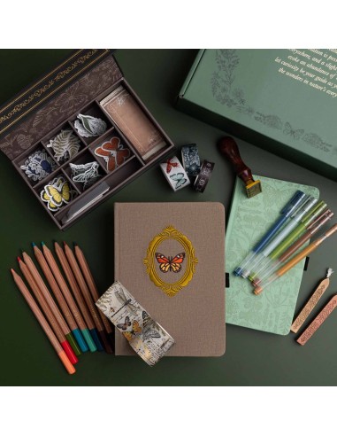 Caja Trimestral Marzo "Nature's Curiosities" | Archer & Olive