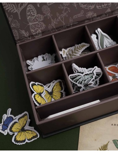 Caja Trimestral Marzo "Nature's Curiosities" | Archer & Olive