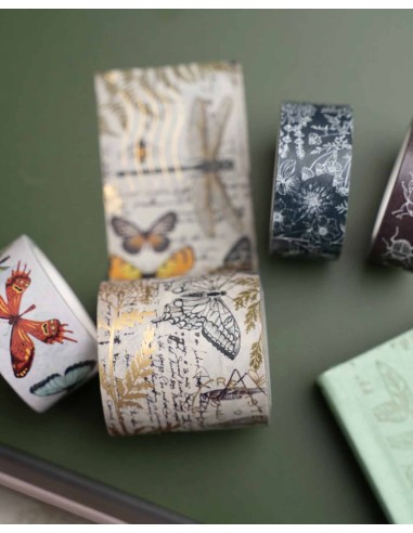 Caja Trimestral Marzo "Nature's Curiosities" | Archer & Olive
